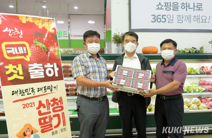 가을 최초 선보인 경남 ‘산청 딸기’