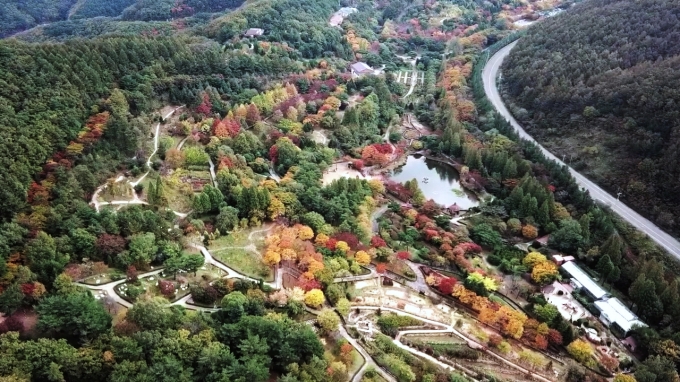 가을 단풍 명소 경북수목원, 코로나19 극복 힐링 장소로 각광 