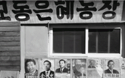 라떼기자의 now & then [3회]  실향민이 두고 간 풍경, 강화 교동도 ‘대룡시장’