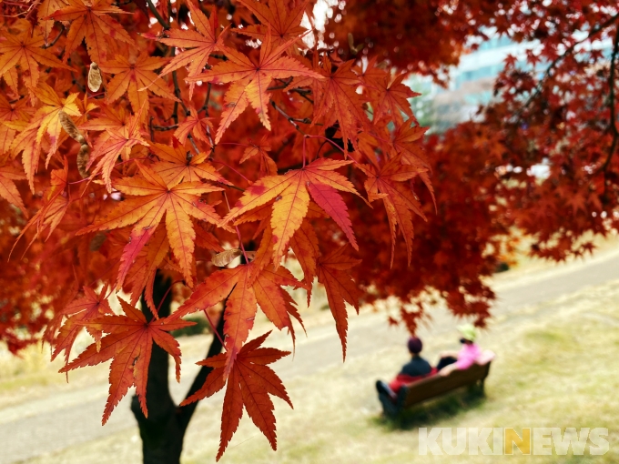 [포토] 여유로운 가을의 끝