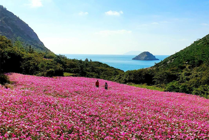 전남 단신