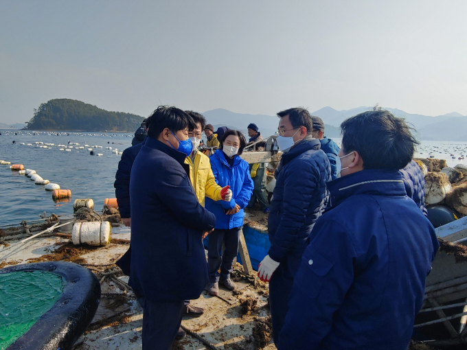 통영시, 굴 폐사 피해 어장 현장 방문 및 복구지원 건의 [통영소식]