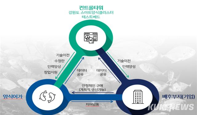 강원환동해본부, 연어 양식 빅데이터 확보…국산화 시동