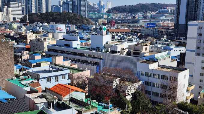 '경상도보리문딩이' 위해 헌신한 호주 의사 맥켄지家