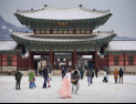 경복궁에서 즐기는 설경