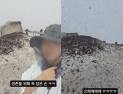하루살이 다음은 ‘러브버그’…북한산도 뒤덮었다