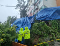 [포토] 폭우에 무너진 아파트 축대
