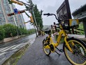 횡단보도 앞 인도에 세워진 공유자전거 “나만 편하면 그만” 