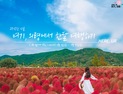 ‵here, UR 여기, 의령에서 한 달 여행하기′ [의령소식]
