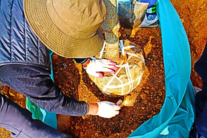 [인터뷰](주)KSC 채두병 기술이사 “기후위기 해법은 푸른 숲”