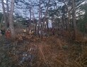 정선 신동읍 산불 1시간여만에 진화...피해면적 조사 중 