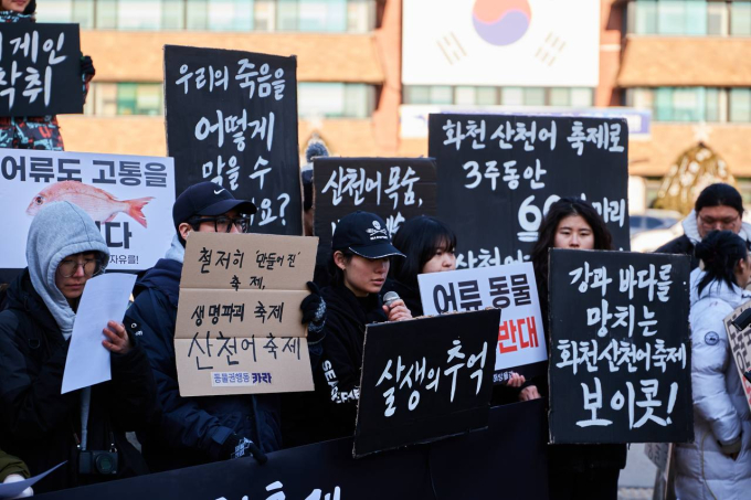 ‘어류 학대’ 논란 속 산천어축제…“생명 파괴 멈춰야”