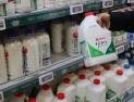 ‘밀크플레이션’ 성큼…‘반값 멸균우유’ 성장세 가속화