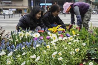 ‘봄이 왔나 봄’ 왕십리역 앞에 조성된 꽃밭
