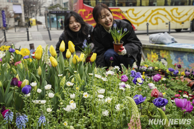 ‘봄이 왔나 봄’ 왕십리역 앞에 조성된 꽃밭 [쿠키포토]