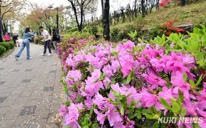  봄 축제에 965만명 모인다…서울시, 드론·AI로 안전관리