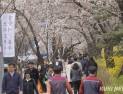 여의도 봄꽃축제 D-3…서울시, 인파 대비 안전 점검 실시