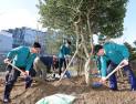 [포토]세종시교육청 ' 식목일 기념 나무심기 행사'