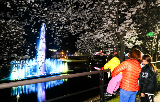 의성군, 제2회 남대천 벚꽃축제 개최 외 [의성 브리핑]