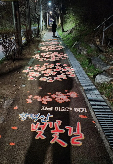 '향적산 야경 빛난다' 계룡시 벚꽃길 연계 경관조명 설치