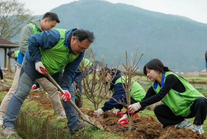 LH, 산불피해 지역 탄소상쇄 숲으로 탈바꿈 추진