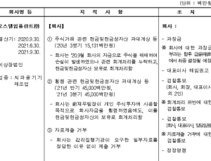 증선위, 오스템임플란트 대표이사 해임권고…회계처리 위반 