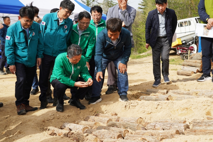 분산 사유림 규모화로 경제임업 실현 '선도 삼림경영단지'