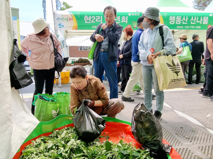 ‘제19회 영양 산나물축제’ 내달 5일 개막