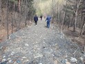 태백 국유림 내 폐기물 투기...국유림관리소, 자체수사→경찰 고발