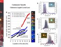 경상국립대, 세계 최초 '10분 만에 전 가시광영역에서 파장가변 가능한 레이저 어레이 제작 기술' 개발