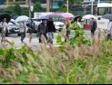 오후까지 전국 비 소식…가을비로 여는 출근길 [쿠키포토]