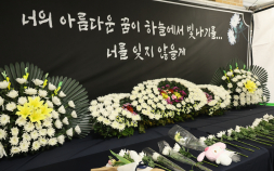 의협, 대전 초등생 피살 사건에 “우울증 아닌 개인 문제로 봐야”