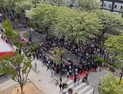 ‘전주 이팝나무 축제’, 새로운 봄 축제로 인기몰이