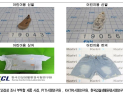 中 직구 어린이 의류서 유해물질 검출…기준치 최대 33배 초과