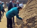 이미라 산림청 차장 '예산군 미이용산림자원화센터' 현장점검 [쿠키포토]