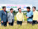 사천시, 올해 첫 '벼(빠르미) 수확' 시작...조기재배 확대