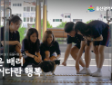 울산교육청, '길고양이 돌보는 학생들' 영상 제작…'생명 존중 문화 확산'