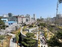 포항 철길숲 야행 “가을밤 낭만 물들인다”