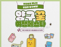 양구군, 반값여행 '양구꿀여행페스타' 운영…여행경비 50% 지원