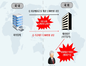 '고환율 악용한 외화 유출 차단'… 관세청, 무역 외환거래 특별단속