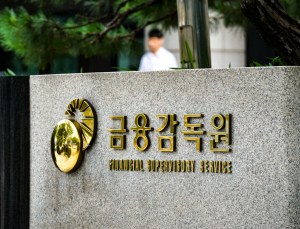 쿠팡에 칼 빼든 금감원, 쿠팡페이·파이낸셜 ‘쌍끌이 검사’