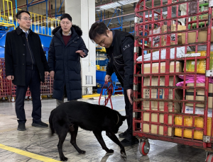 '국제우편물 검사, 마약탐지견 투입'… 관세청, 2차 검사 시범사업 현장점검
