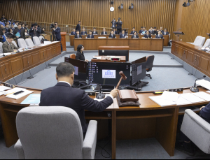 무안공항 둔덕 설치, 누가 왜…여야, 여객기 참사 특위서 질타