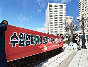 '수입양파 저가신고 단속 강화'… 관세청, '기획 관세조사' 즉시 착수