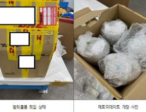 '좀비담배' 에토미데이트… 관세청, 국경단계 차단 주력