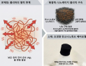 [쿠키과학] '터빈 부품, 플라스틱으로 만든다'… 재료연, 나노케이지 복합재 개발