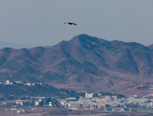 국방부, DMZ 관할권 조정 실무협의…‘철책 이남 한국군 통제’ 구상 제시