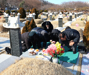 설 앞두고 성묘객들로 붐비는 가족공원
