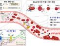 [쿠키과학] 충남대-한양대, '장출혈성 대장균의 숨은 공범 'RTX 독소' 찾았다