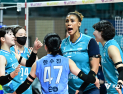 ‘무서운 상승세’ GS칼텍스, 페퍼 3-0 꺾고 4연승 질주 [쿠키 현장]